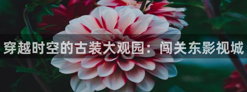 西瓜影院高清在线免费观看