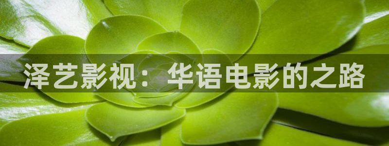 欧美西瓜影院私人影院